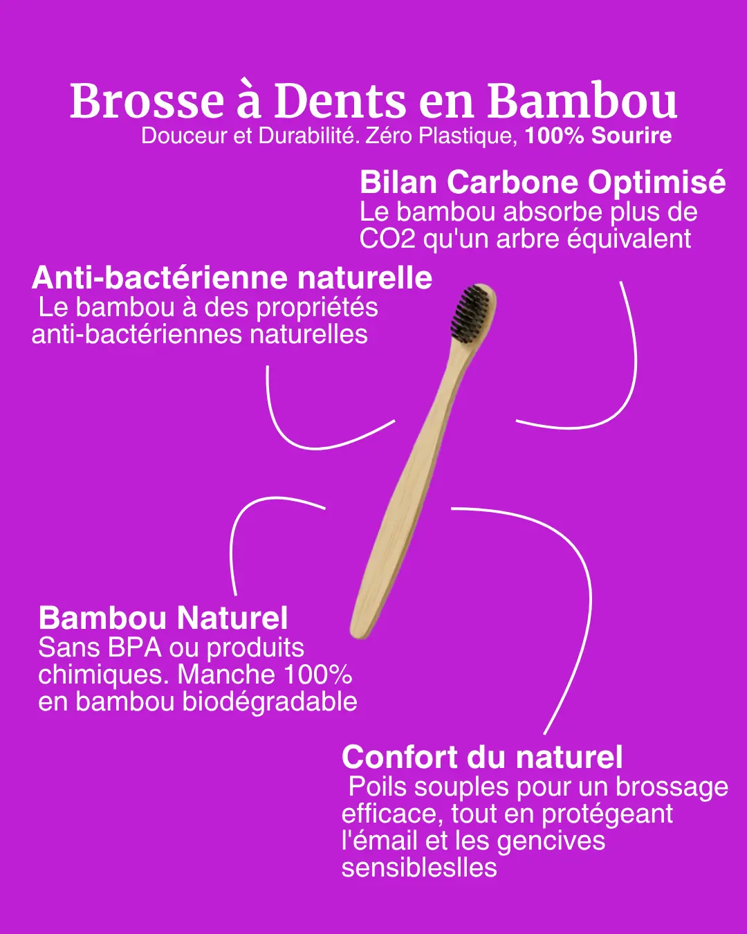 4 Collection de Brosse à dent en bambou Lunax